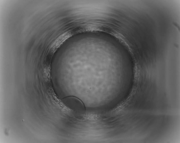 X0000102790785200809081048