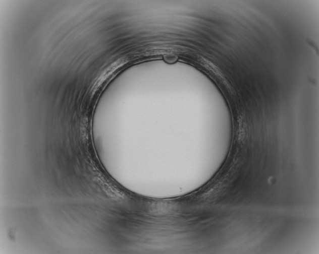 X0000102790786200809081048