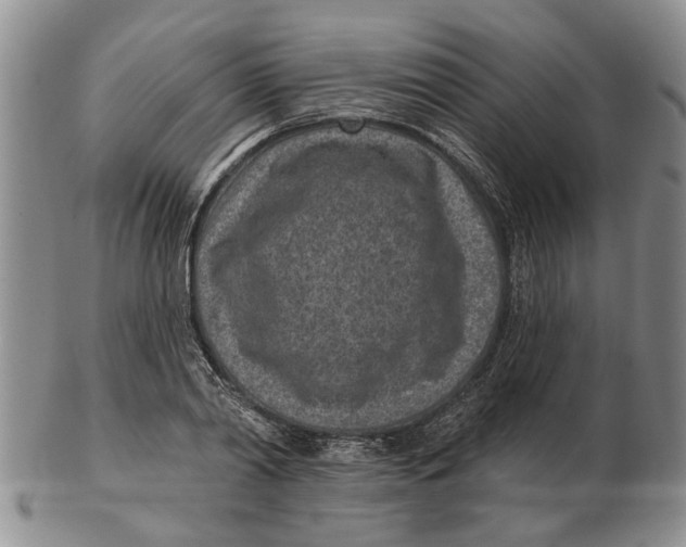 X0000102790790200809081048