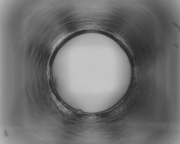 X0000102790791200809081048