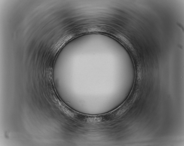 X0000102790793200809081048