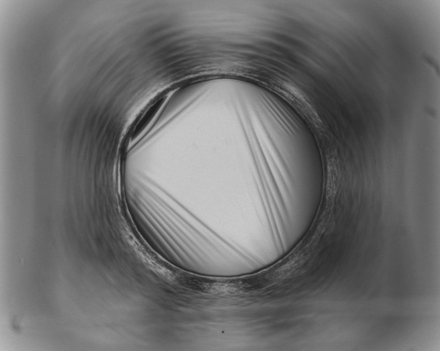 X0000102790796200809081048