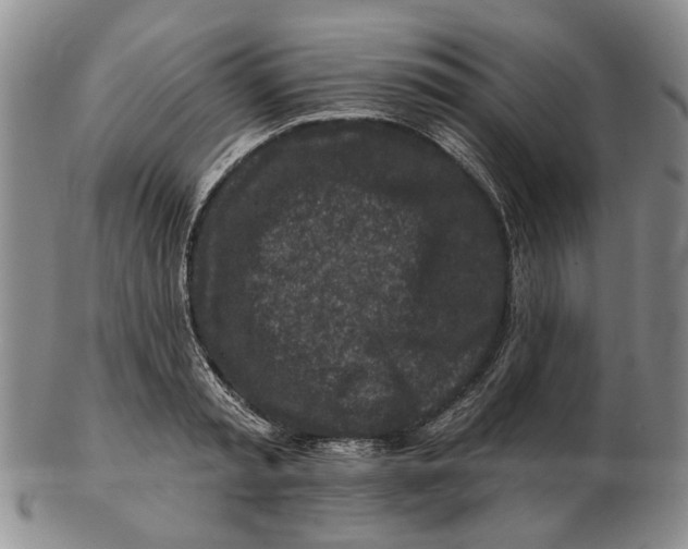 X0000102790797200809081048