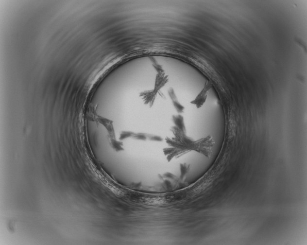 X0000102790798200809081048