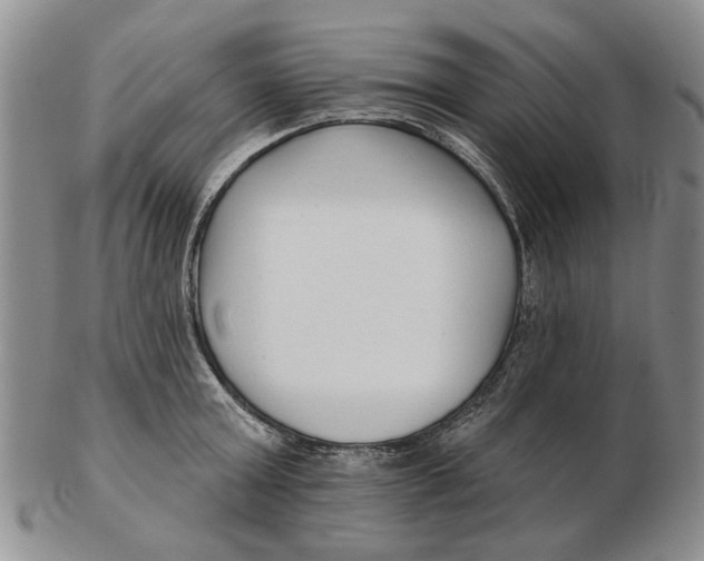 X0000102790803200809081048