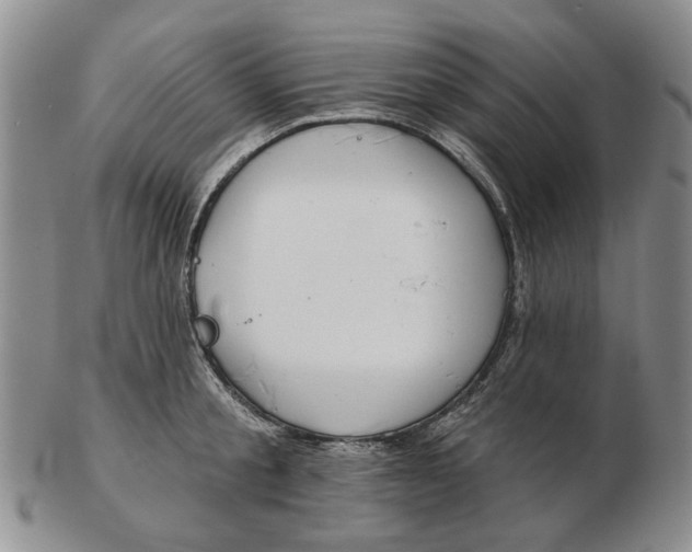 X0000102790805200809081048