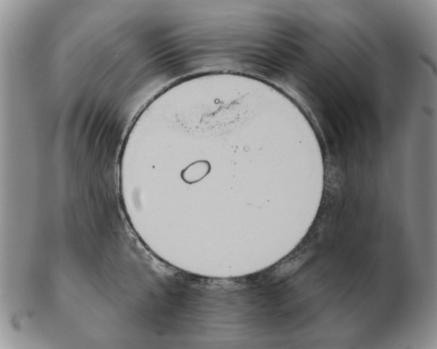 X0000102790807200809081048