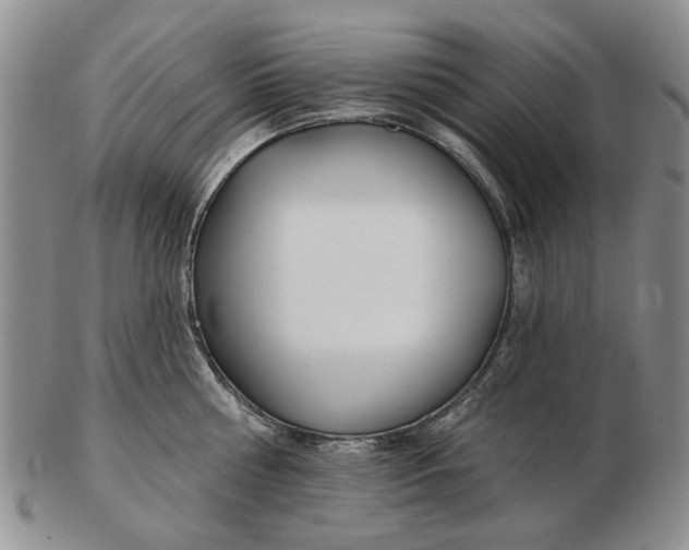 X0000102790810200809081048