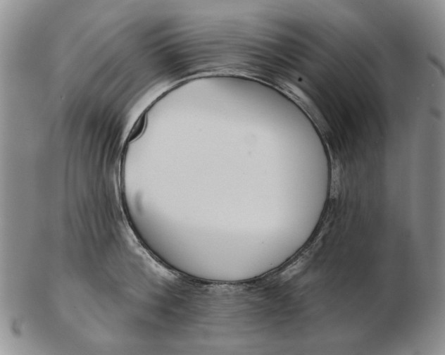 X0000102790812200809081048