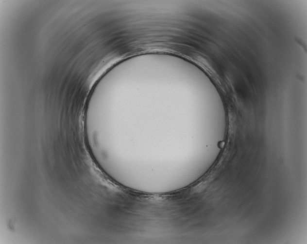 X0000102790814200809081048