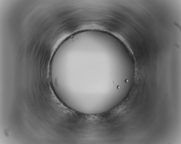 X0000102790815200809081048