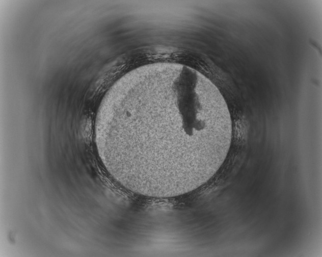 X0000102790820200809081047