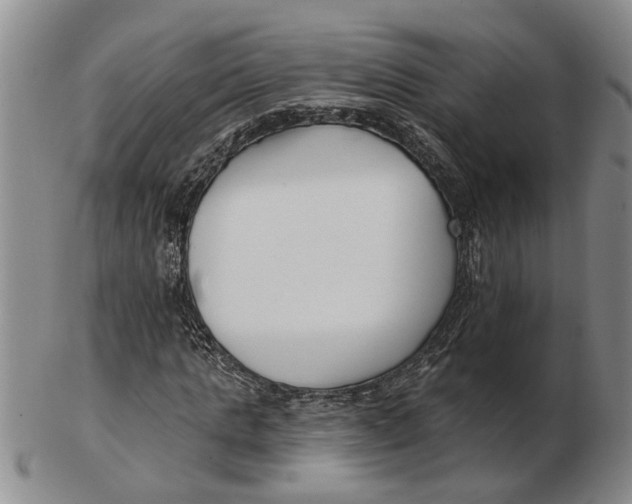 X0000102790821200809081047