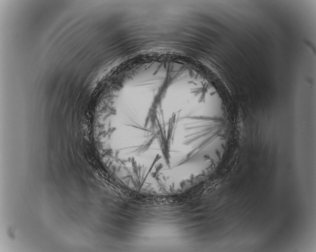 X0000102790823200809081047