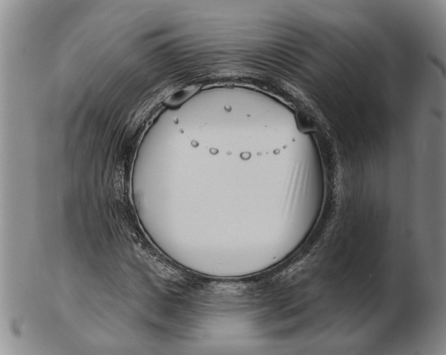 X0000102790825200809081047