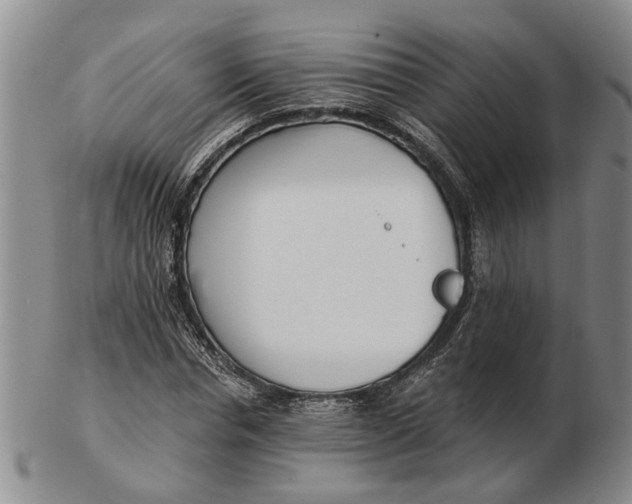 X0000102790826200809081047