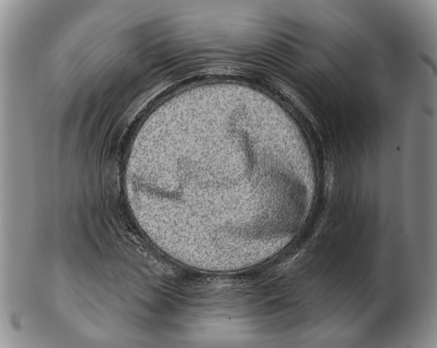 X0000102790829200809081047