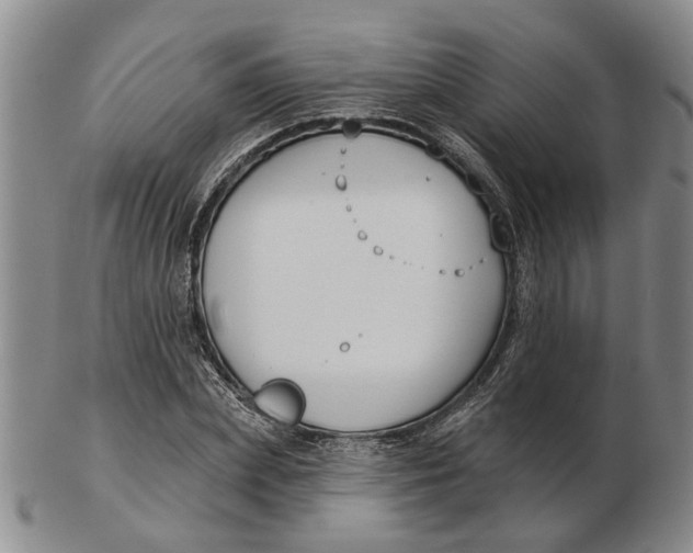 X0000102790831200809081047