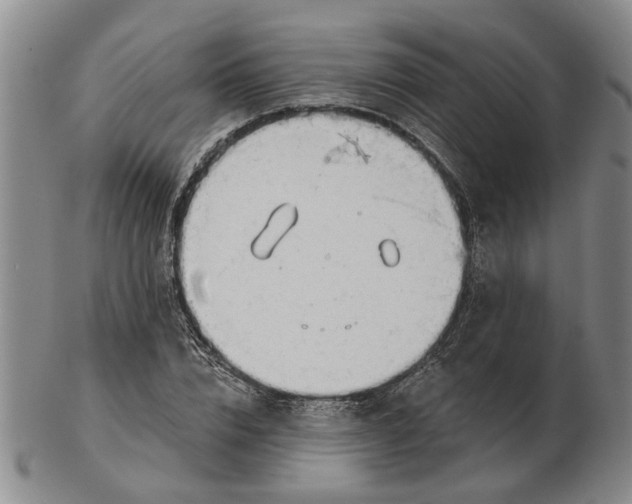 X0000102790832200809081047