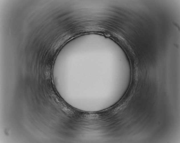 X0000102790833200809081047