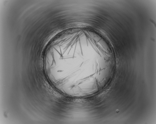 X0000102790835200809081047