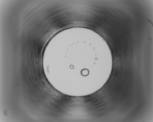 X0000102790836200809081047