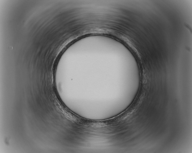 X0000102790837200809081048