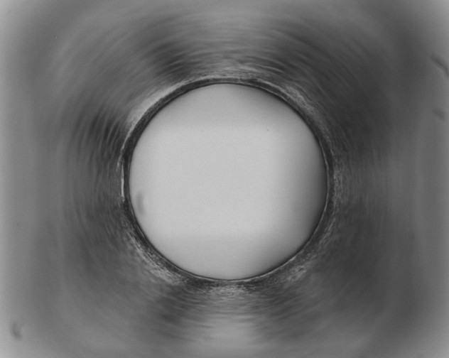 X0000102790838200809081048