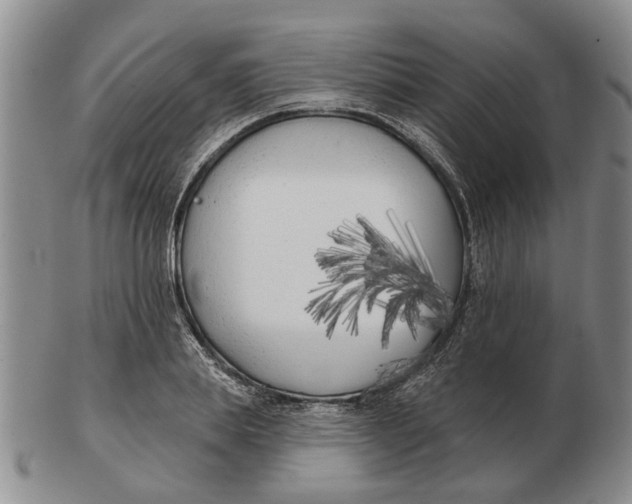 X0000102790839200809081048