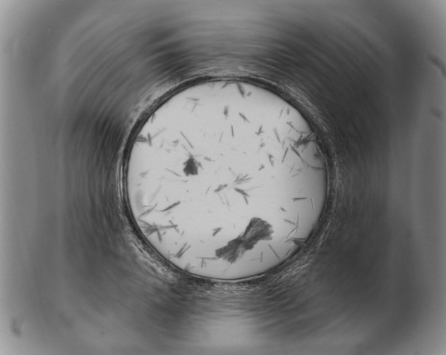 X0000102790840200809081048