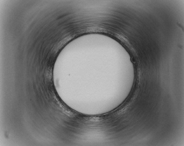 X0000102790841200809081048