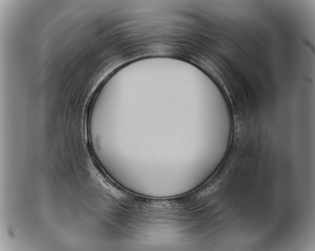 X0000102790843200809081048