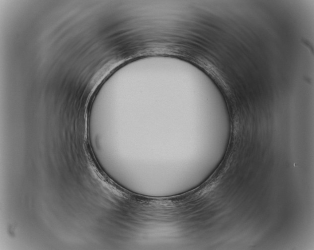 X0000102790844200809081048