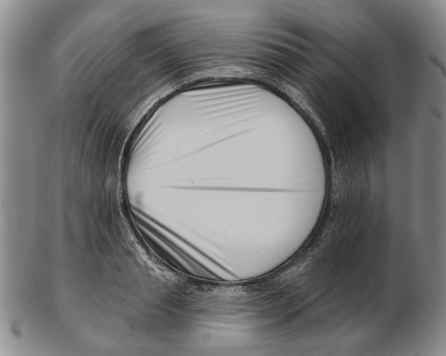 X0000102790845200809081048