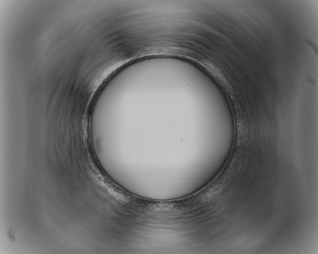 X0000102790846200809081048