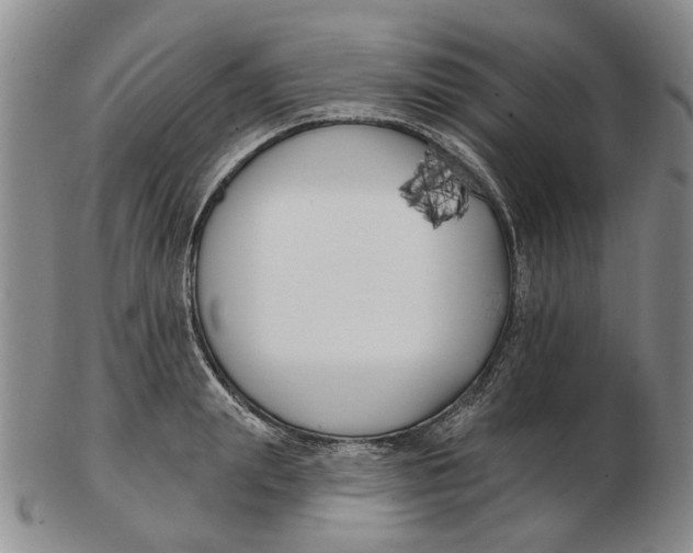 X0000102790847200809081048