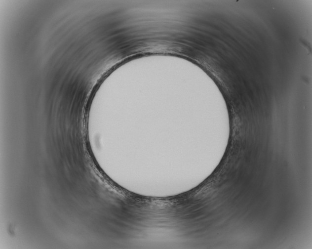 X0000102790848200809081048