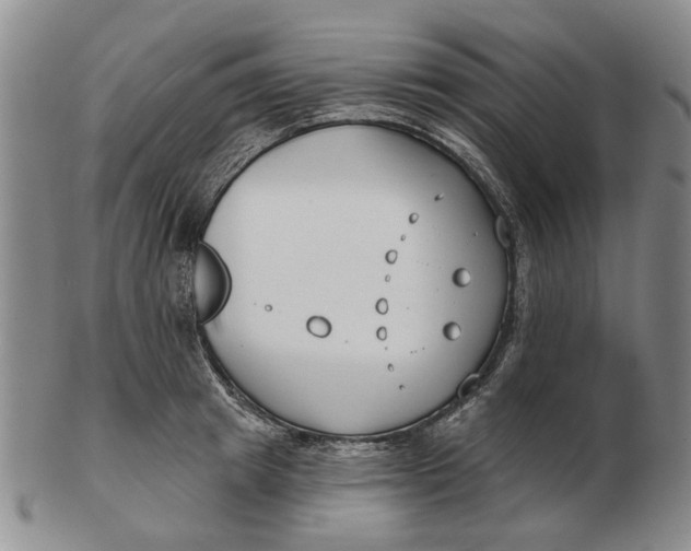 X0000102790849200809081048