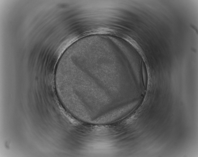 X0000102790850200809081048