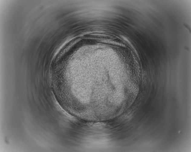 X0000102790851200809081048