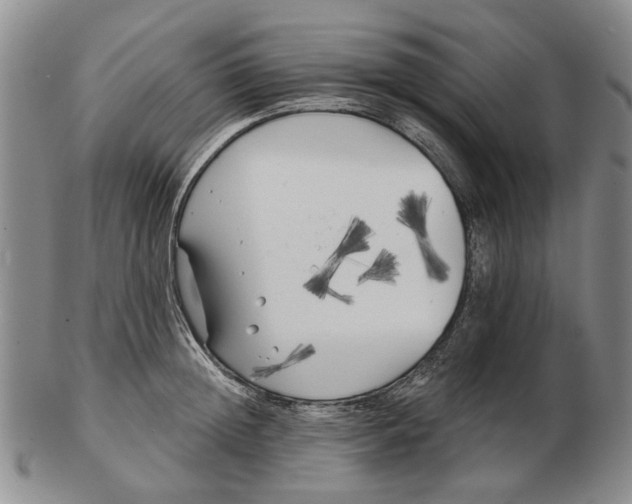 X0000102790852200809081048