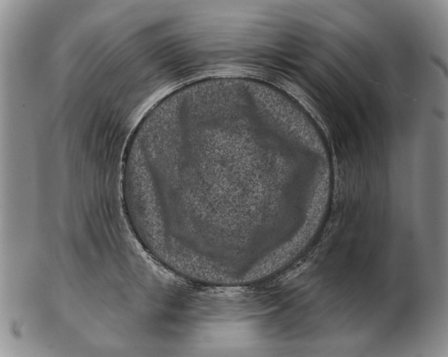 X0000102790853200809081048