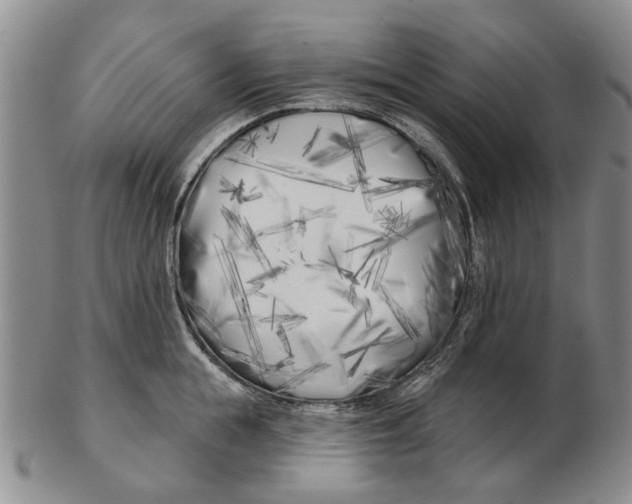 X0000102790855200809081048