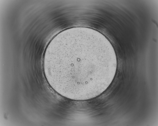 X0000102790856200809081048