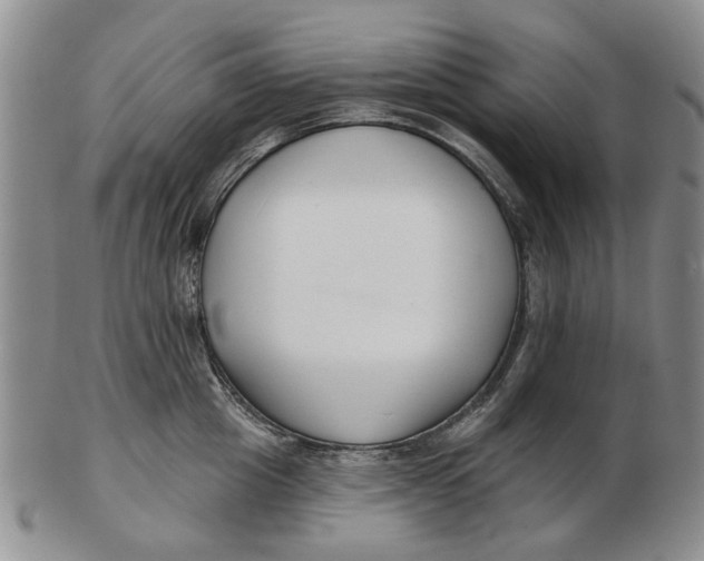 X0000102790857200809081048