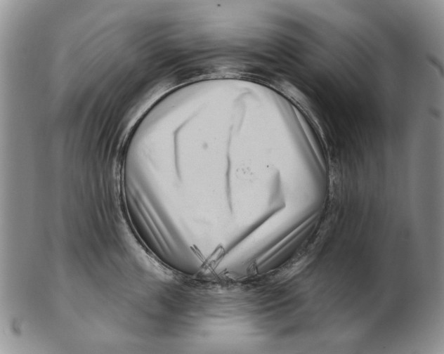 X0000102790859200809081048