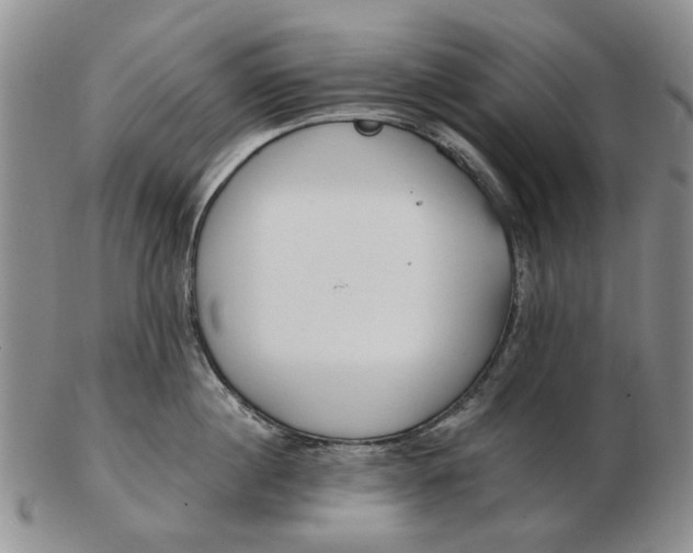 X0000102790860200809081048