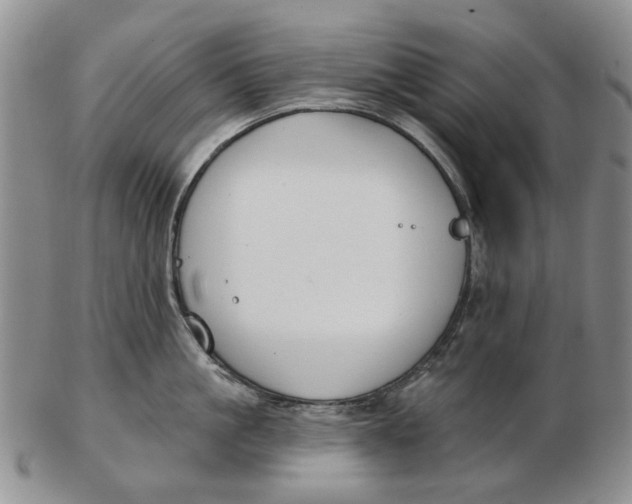 X0000102790861200809081048