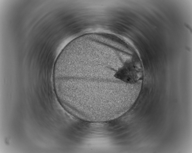 X0000102790863200809081048