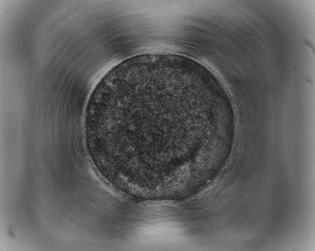 X0000102790864200809081048